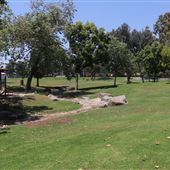 Brea Junior High School Park