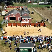 Ferndale Fairgrounds / Humboldt County Fair - California Division of Fairs and Expositions / and Cape Mendocino Lighthouse