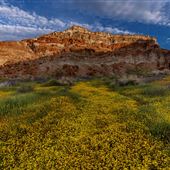 Red Rock Canyon State Park (SP)
