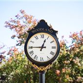 City of Woodland