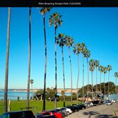 Ellen Browning Scripps Park