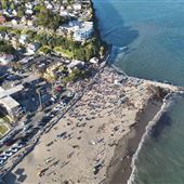 Capitola City Beach