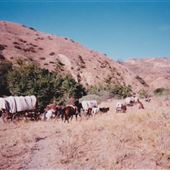 Lane Ranch & Co.