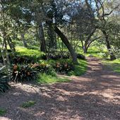 Descanso Gardens