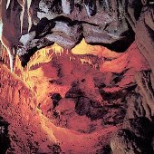Mercer Caverns