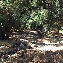 Paramount Ranch - National Park Service (NPS)