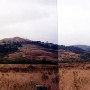 Pomo Canyon (Sonoma Coast State Park)