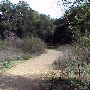 Rocky Oaks - National Park Service (NPS)