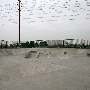 Cerritos Skate Park