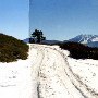 Skyline Drive