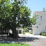 Irvine Ranch Historic Park