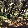 Solstice Canyon - National Park Service (NPS)