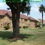 Metropolitan State Hospital - Department of State Hospitals (DSH)