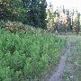 Hodgdon Meadows
