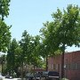 Mission St. between Fair Oaks and Mound Avenue
