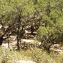 Tapia Park @ Malibu Creek State Park (SP)