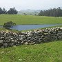 Tresch Dairy