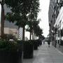 5th St. between Grand Ave. & Olive St.