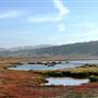 Humboldt Bay National Wildlife Refuge