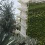 Universal Studios Hollywood - Balconies & Stairways throughout park