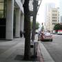 Grand Ave. between 6th St. and Wilshire Blvd.