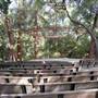 Descanso Gardens