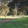 Ventura Farms