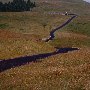 Bear River Ridge Road - Off HWY 101