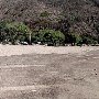 Sycamore Cove State Beach (SB) & Campground @ Point Mugu State Park (SP) - CFC