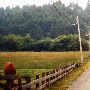 Elk River Road
