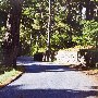 Fern Canyon Road