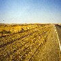 Highway 33