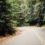 Highway 236 - Felton