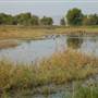 Colusa National Wildlife Refuge