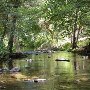 Hidden Falls Regional Park