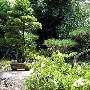 Earl Burns Miller Japanese Garden - California State University Long Beach - CSULB