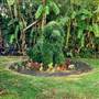 Paradise Ranch Pet Resort
