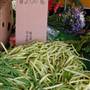 Auburn Farmers Market