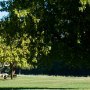 Benbow State Recreation Area (SRA)