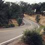 Bear Mountain Road