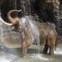 Los Angeles Zoo & Botanical Gardens - LA Zoo