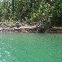 Bass Lake / Crane Valley Reservoir