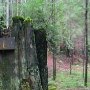 Mendocino Woodlands State Park (SP)