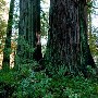 Reynolds Wayside Campground State Park (SP)