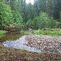 Johnson's Meadow