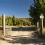 Golden Oak Ranch - Natural Area