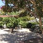 California Citrus State Historic Park (SHP)