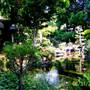 Japanese Tea Garden - San Mateo Central Park & Recreation Center