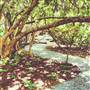 Park Winters Inn