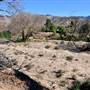 Heisenberg Heights Movie Ranch at Stallion Oaks Ranch